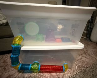Cage with Accessories