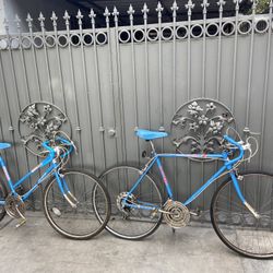 Free Spirit Road Bikes