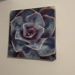 Flower Painting 