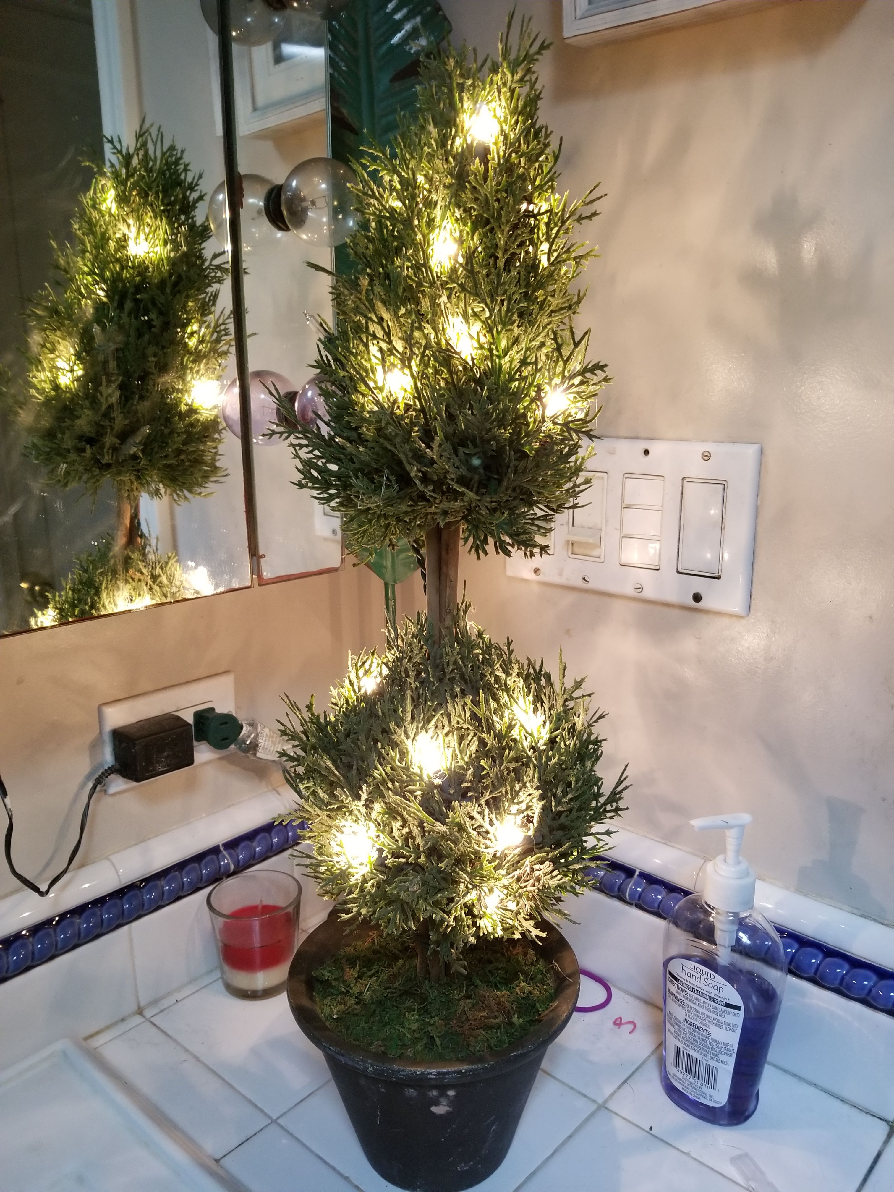 Light up topiary