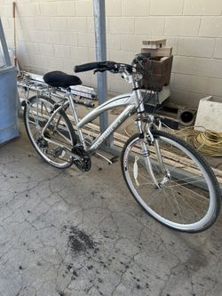 hers Schwinn Bike
