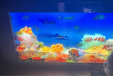 Aquarium moving picture frame