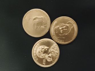 My coins