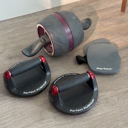 Perfect pushups and ab carver