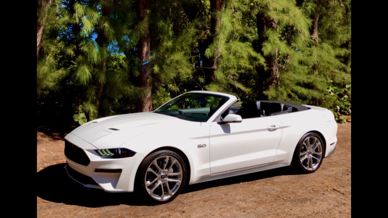2019 Ford Mustang