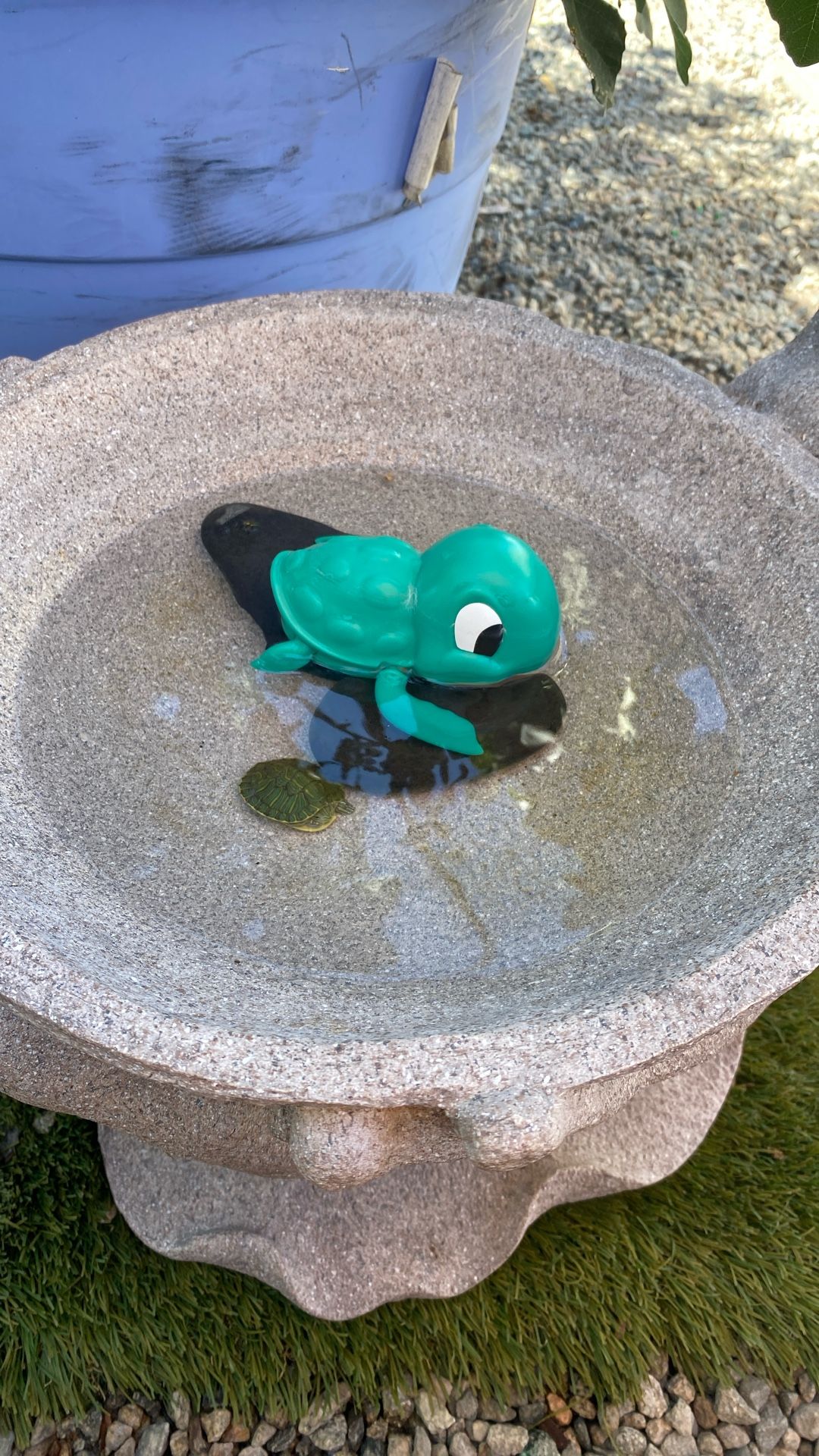 Turtles