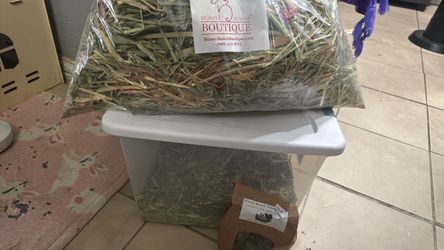 Free rabbit food