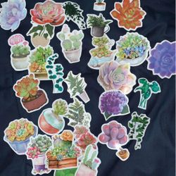 botanical/succulent sticker pack  (30 count) 