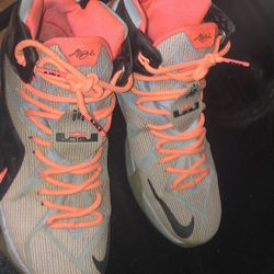 LeBron 12’s Size 10.5