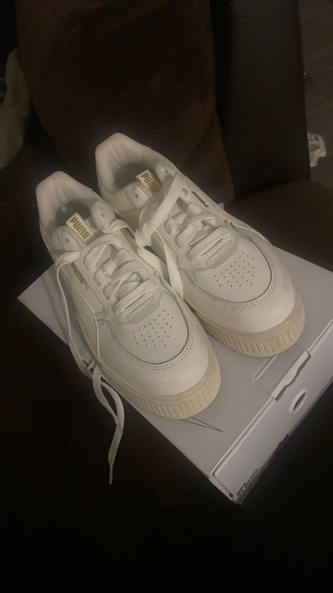 Puma