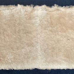 Nice Beige Color Shag Like Rug—28”wide X 72” Long 