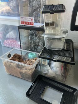 Tarantula or small lizard tanks