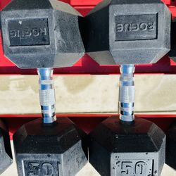 Rogue 50 Lb Dumbbells