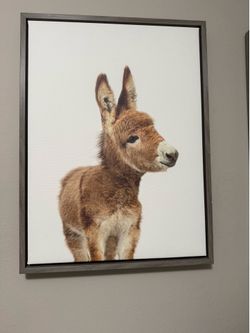 Canvas Wall Art