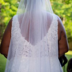 Plus Size Wedding Dress 