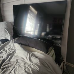 43 Inch