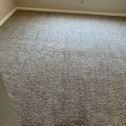 Carpet For Sale