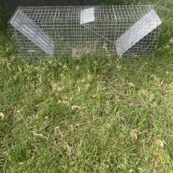 Critter Cage