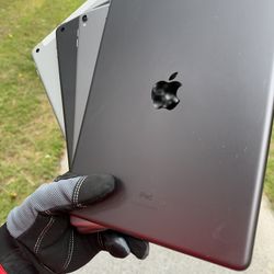 iPads 5 / 6 / 8 / Pro