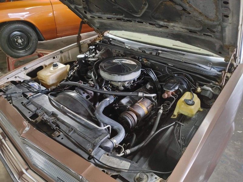 1979 Chevrolet Camaro