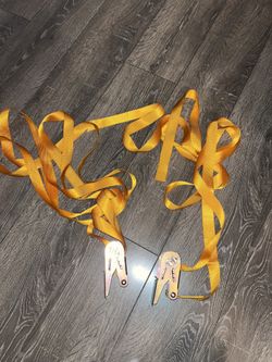 10 Foot Long 2 Metal Ratchet Tie down Straps 