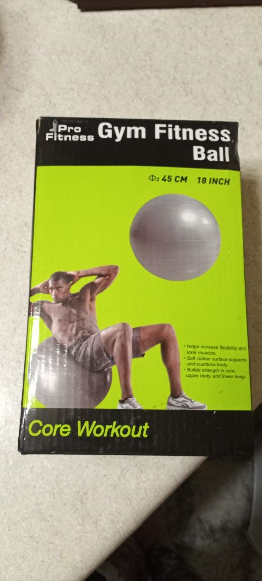 Gym fitness ball