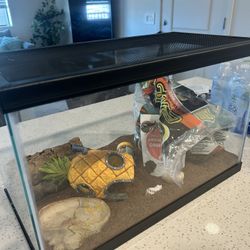 Hermit Crab Tank And Supplies