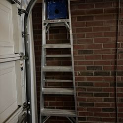 Werner 6ft Aluminum Step Ladder (Type I - 250lb Capacity)