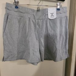 Women's Size Large Shorts 
