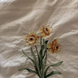 Table Cloth 12’x10’ 