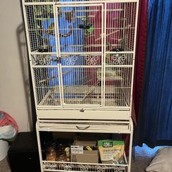 Bird Cage And Extras!
