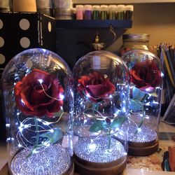 New Enchanted Roses $60 each