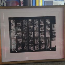 Vintage 1950s Editorial Contact Sheets – Llama in Times Square – McGraw Archive