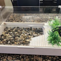 TURTLE TAMK