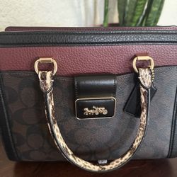 Coach Bag blck/brown