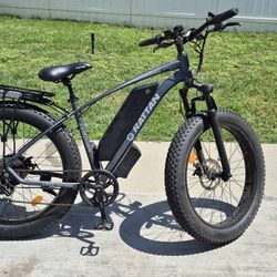 Rattan Pathfinder 750W Fat Tire E-bike.