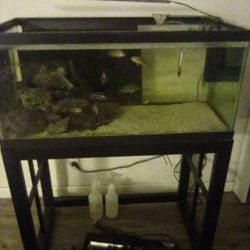 40 Breader Fish Tank