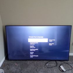 65 Inch 