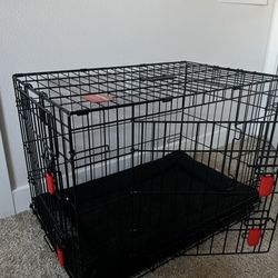 Kong dog crate with mat