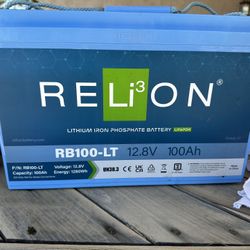 Re-Lion lithium Batteries (USED) 100Amp