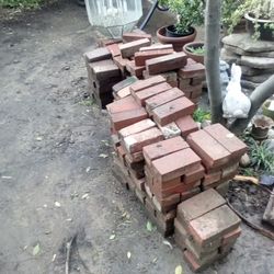 Standard Bricks