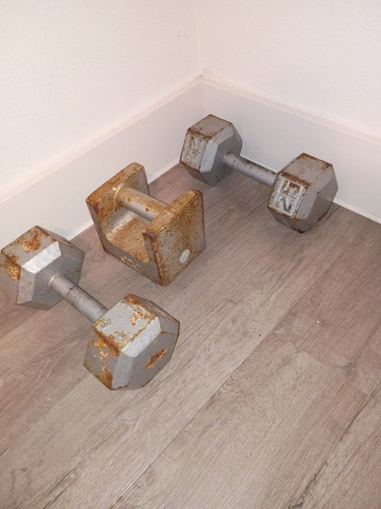 Weights 10 -20 $ 30 For All