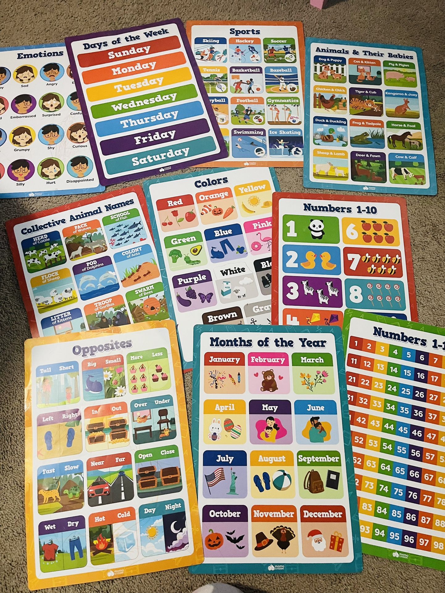 Educational Learning Posters