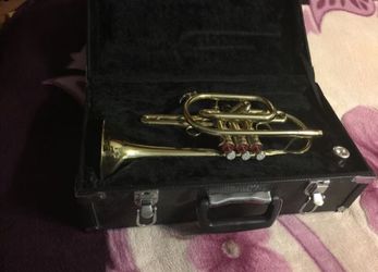 Stagg Cornet