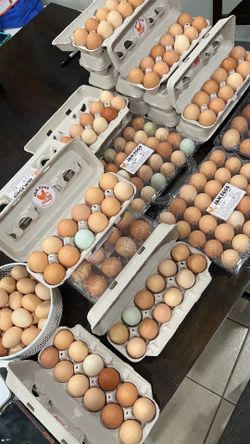 Farm fresh eggs