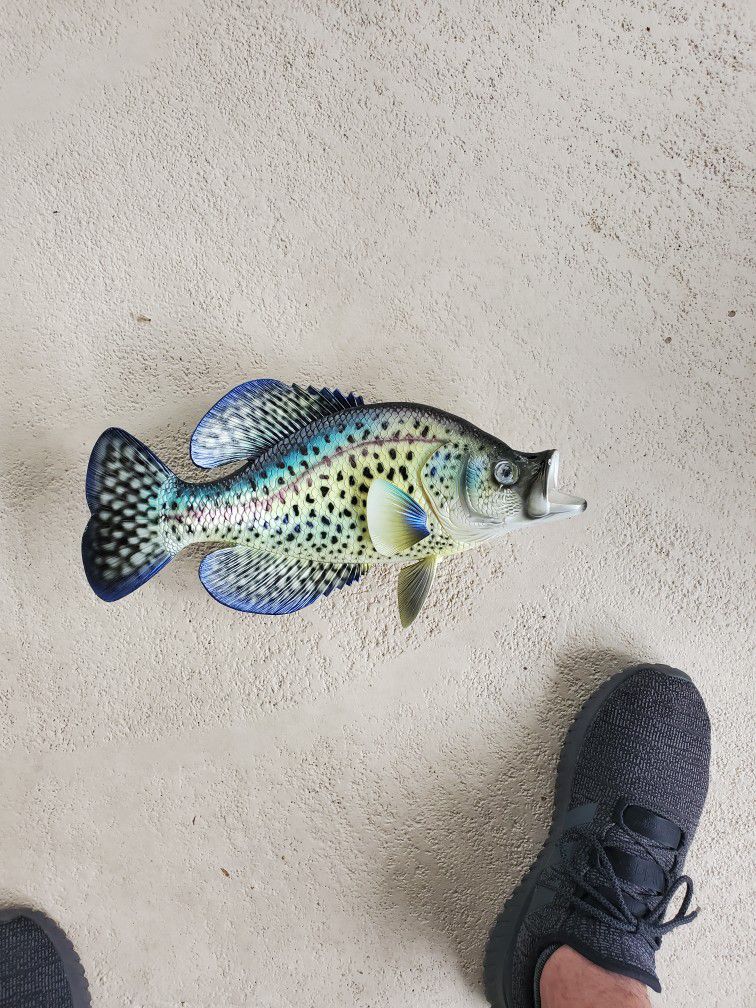 Spec Fish Decor
