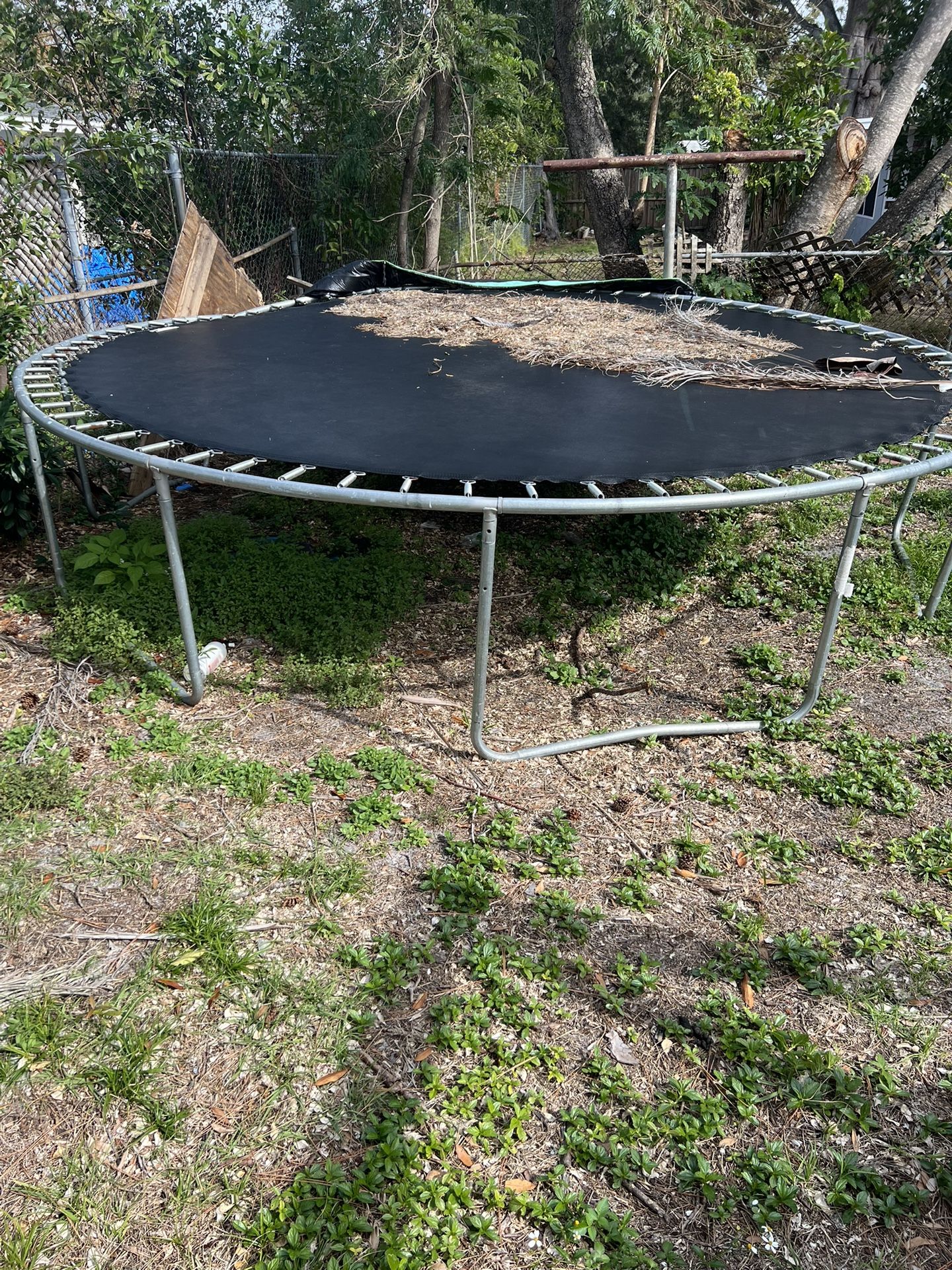 Trampoline 