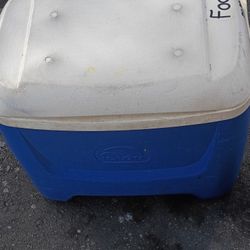 IGLOO COOLER