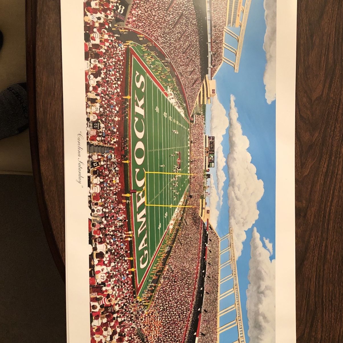 35x17 Unframed Carolina Gamecocks stadium Print