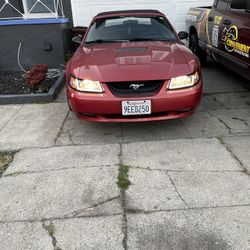 1999 Mustang Gt Convertible 